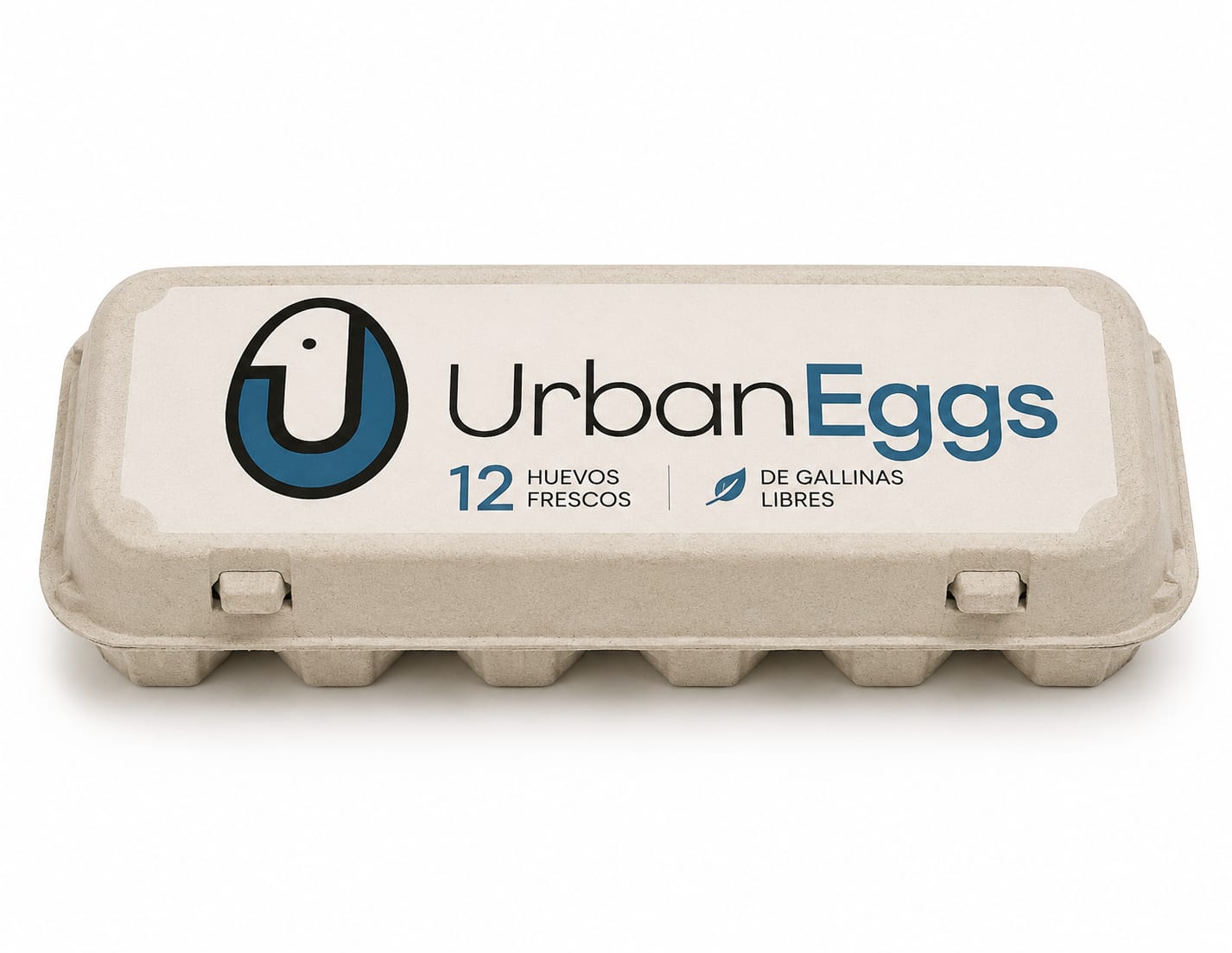 12 huevos